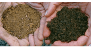 soil sample